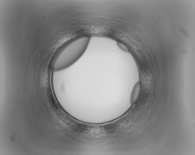 X0000115580587200912221050