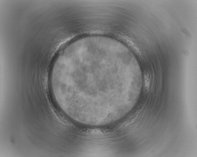 X0000115580588200912221050