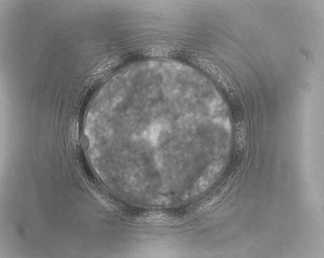 X0000115580589200912221050