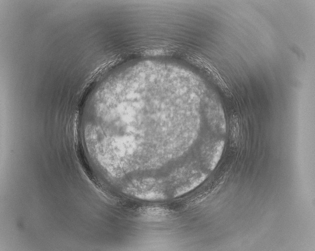 X0000115580590200912221050