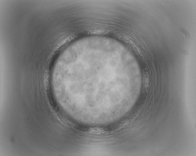 X0000115580591200912221050