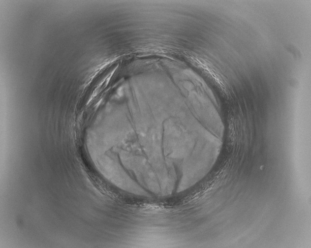 X0000115580592200912221050