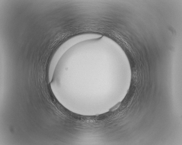 X0000115580593200912221050