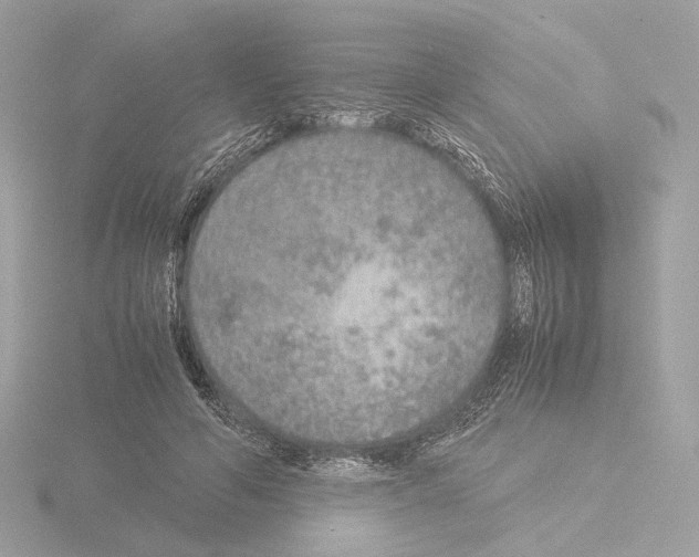 X0000115580594200912221050