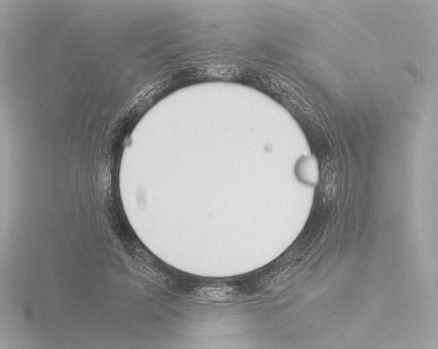 X0000115580595200912221050