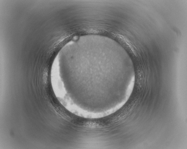 X0000115580596200912221050