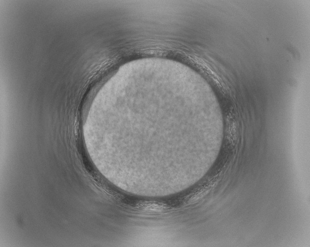 X0000115580597200912221050