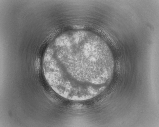 X0000115580598200912221050