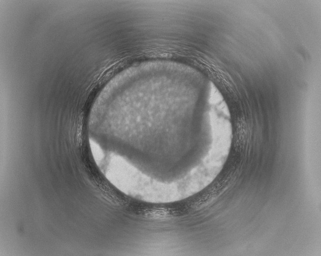 X0000115580600200912221050