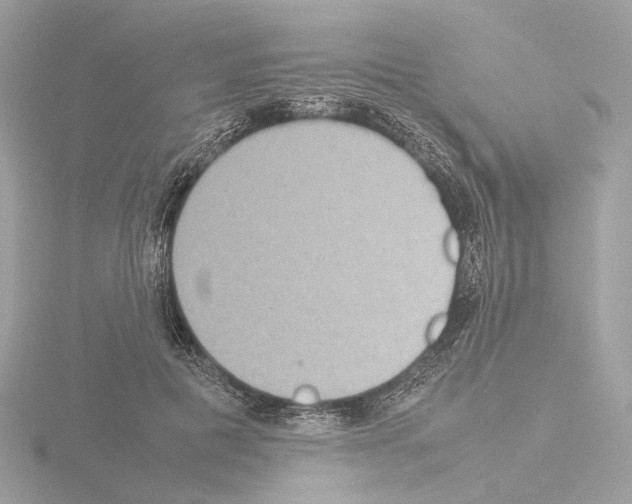 X0000115580601200912221050