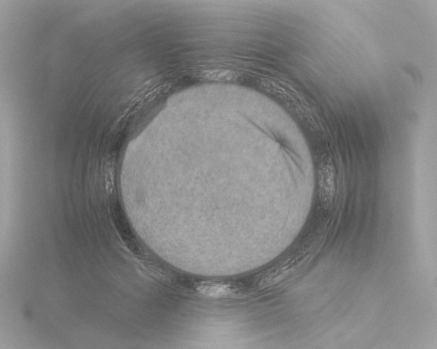 X0000115580602200912221050