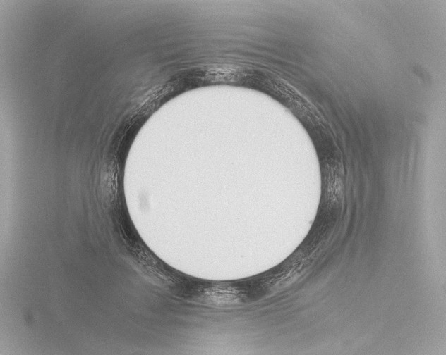 X0000115580603200912221050