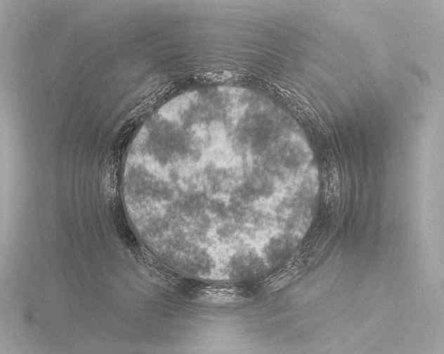 X0000115580606200912221050