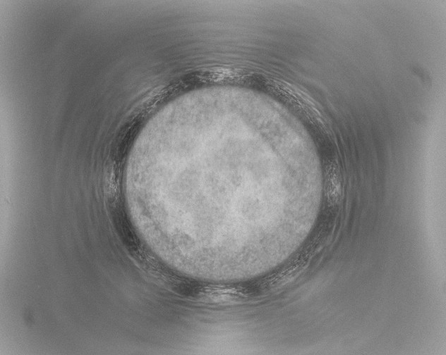 X0000115580607200912221050