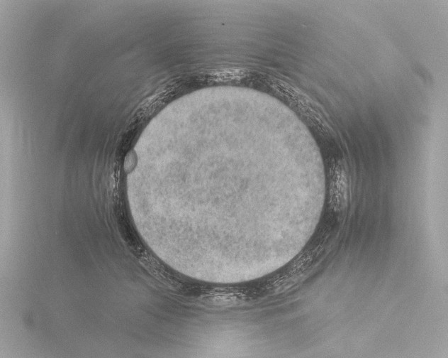 X0000115580608200912221050