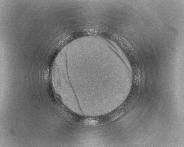 X0000115580610200912221050