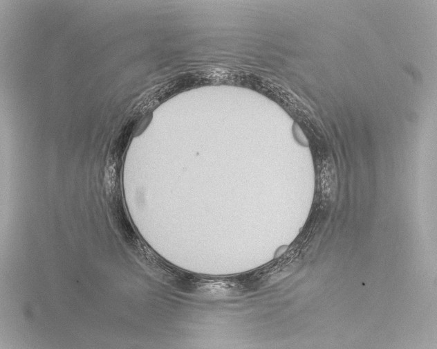 X0000115580611200912221050