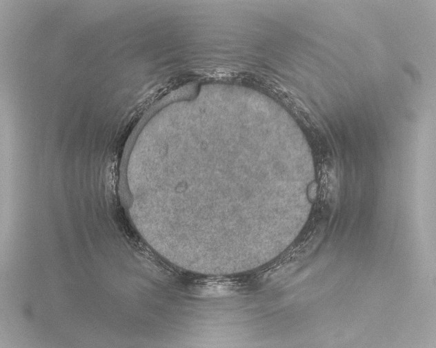 X0000115580612200912221050