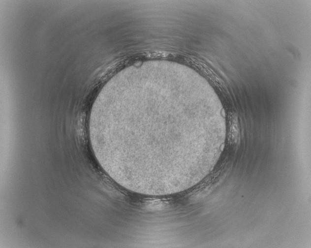 X0000115580616200912221050