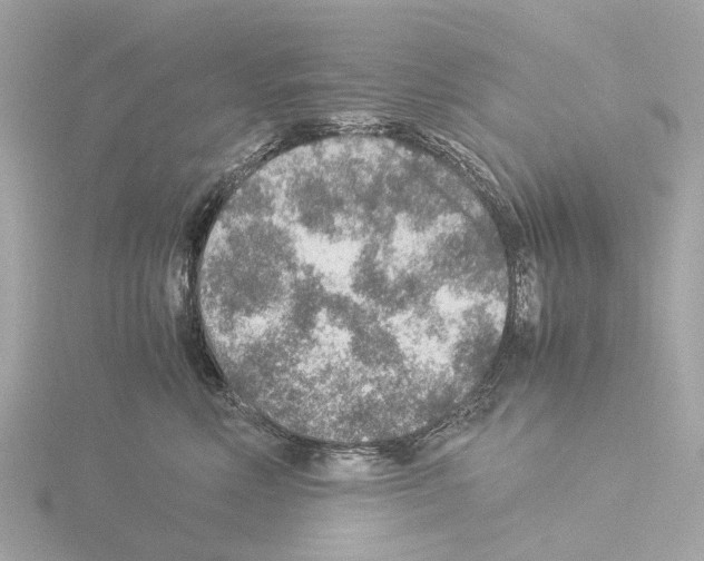 X0000115580618200912221050