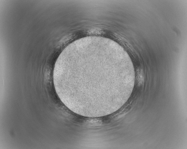 X0000115580619200912221050