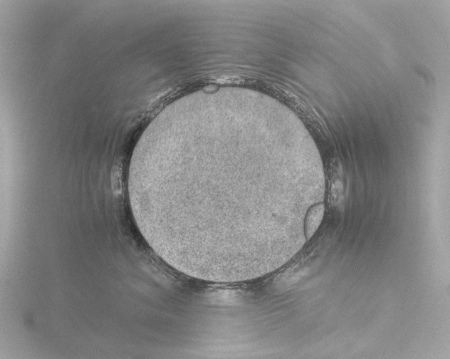 X0000115580620200912221050