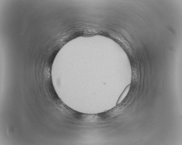 X0000115580621200912221050