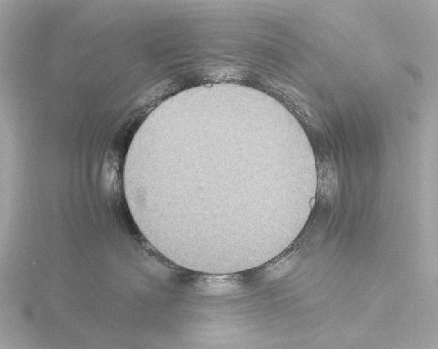 X0000115580622200912221050