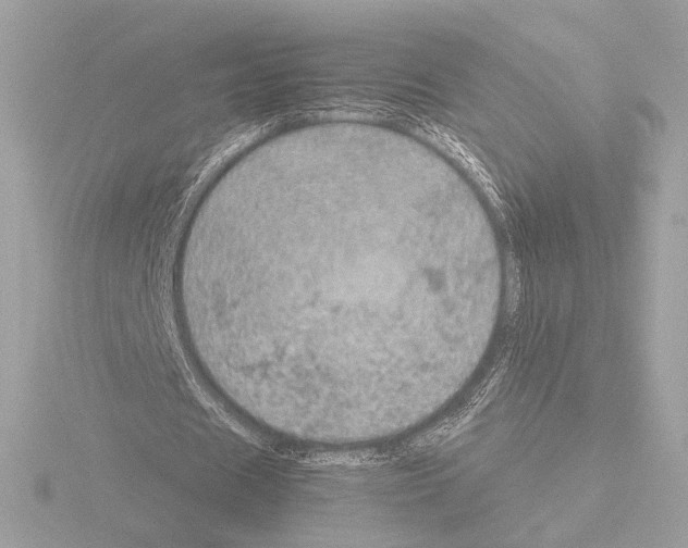 X0000115580625200912221049