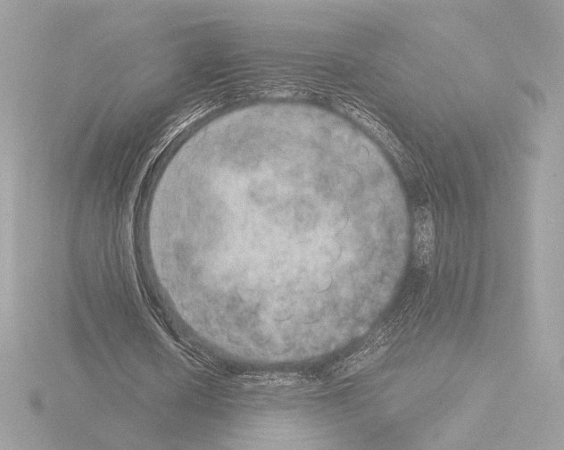 X0000115580626200912221049