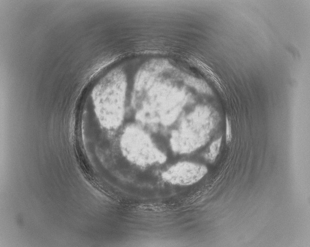 X0000115580627200912221049