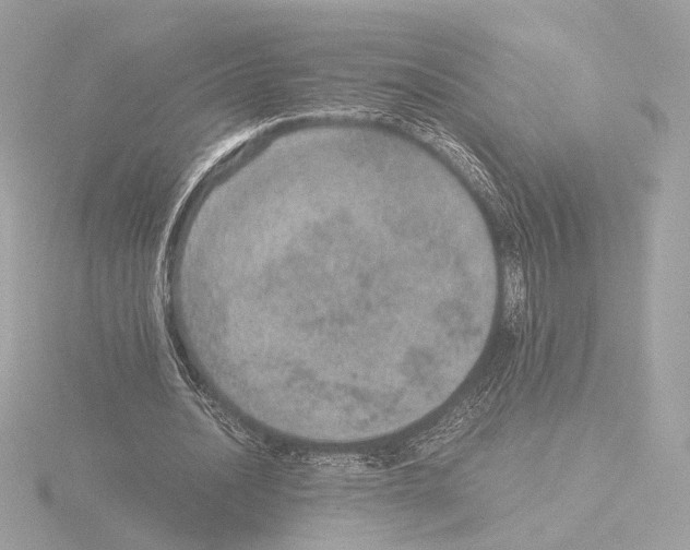 X0000115580628200912221049