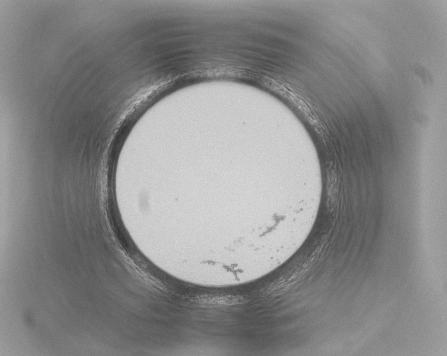 X0000115580629200912221049