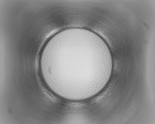 X0000115580632200912221049