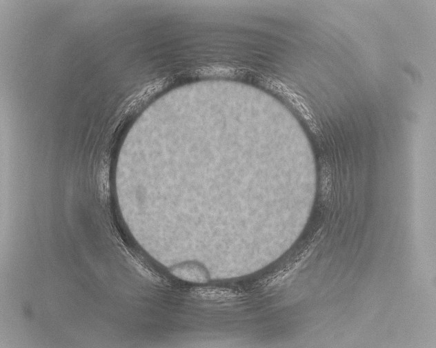 X0000115580633200912221049