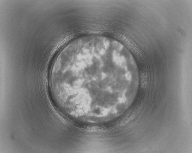 X0000115580634200912221049