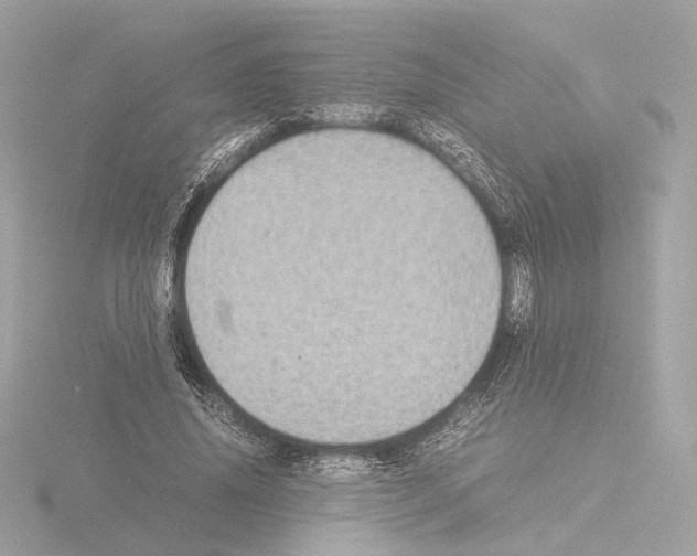 X0000115580636200912221049