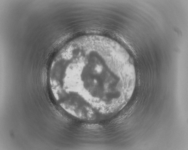 X0000115580637200912221049