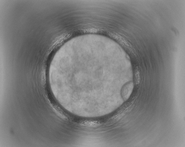 X0000115580638200912221049