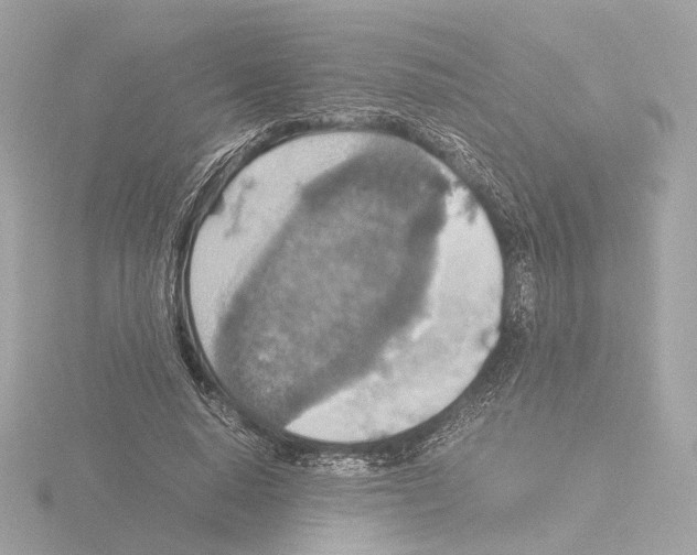 X0000115580640200912221049