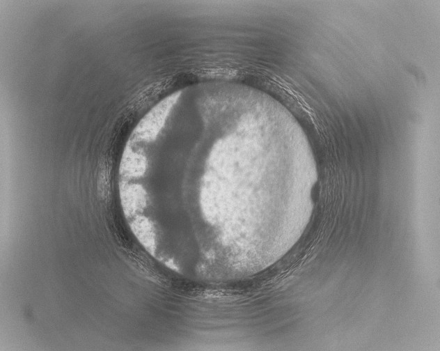 X0000115580641200912221049