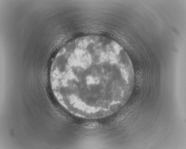 X0000115580642200912221049