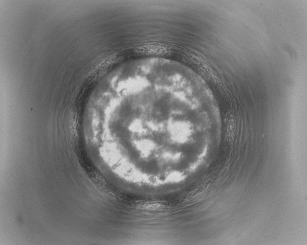 X0000115580643200912221050