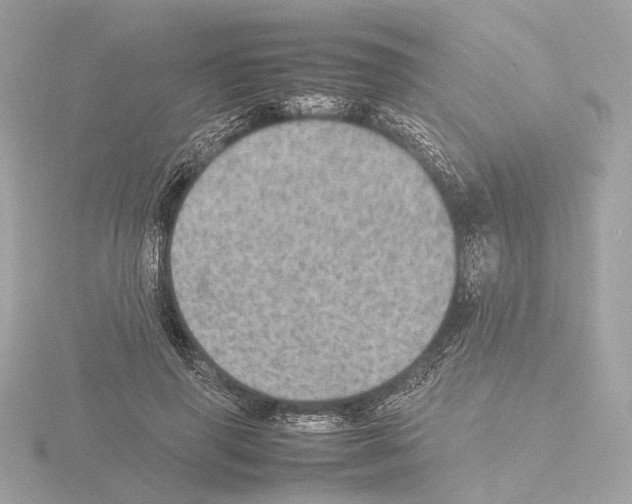 X0000115580645200912221050