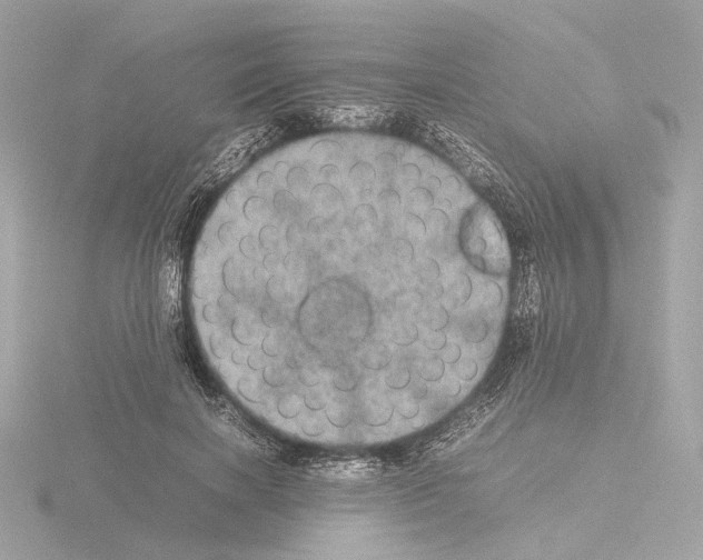 X0000115580646200912221050