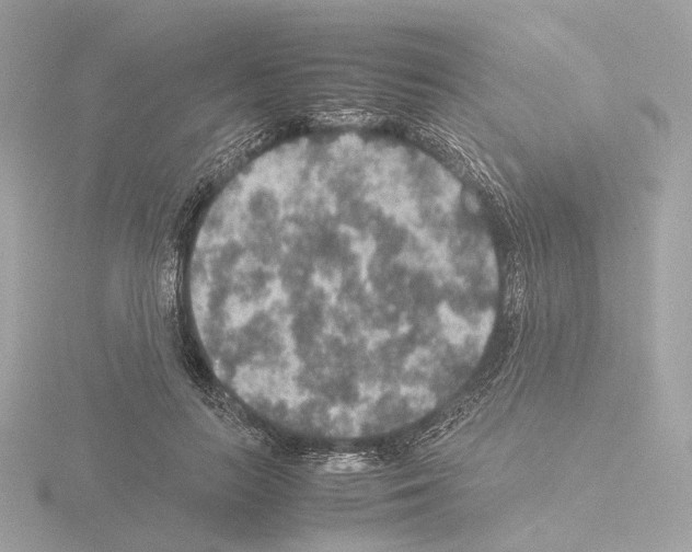 X0000115580647200912221050