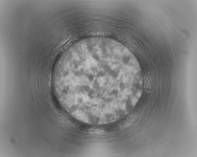 X0000115580648200912221050