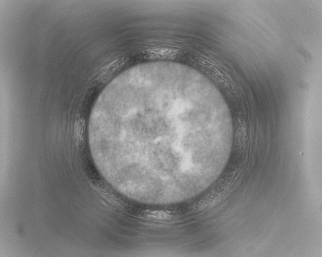 X0000115580649200912221050