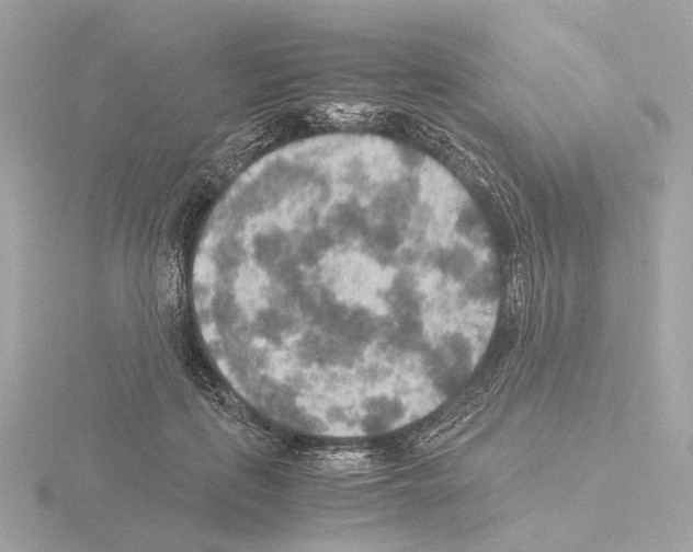 X0000115580651200912221050