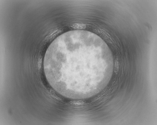 X0000115580652200912221050